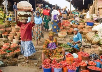 Crash Prices of Petrol, Electricity, Christian Elders Tell Tinubu 