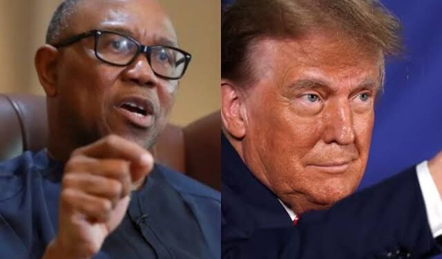 Peter Obi, Nigerian Donald Trump, Presidency Asserts