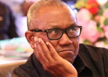 Peter Obi, Nigerian Donald Trump, Presidency Asserts