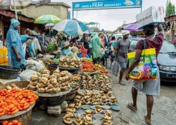 Beyond Tinubu, the Problem with Nigerian Economy, OPINION By Kemi Egbebi