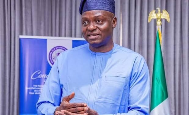 Nigeria Finally Gets it Right with Yilwatda as Humanitarian Affairs Minister, Says Group