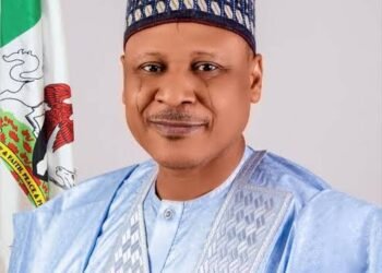 Nigerian Govt Not Responsible for Petrol Price Hike, Says Information Minister 