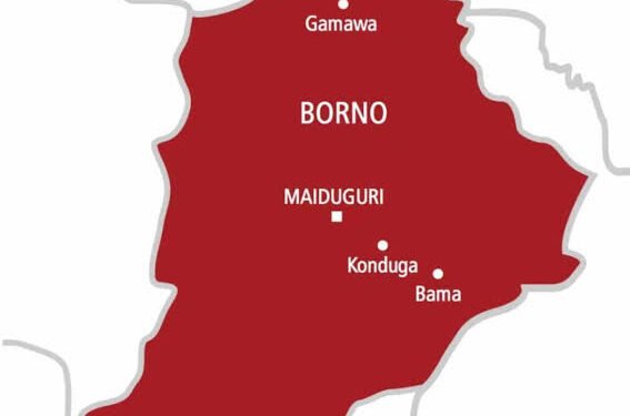 Flood: Swiss Govt Donates €1.2m to Borno Government