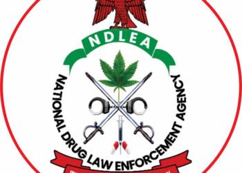 NDLEA to Review Visa Clearance Procedures, Drops Controversial Requirement for Married Women 