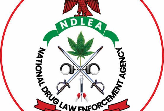 NDLEA to Review Visa Clearance Procedures, Drops Controversial Requirement for Married Women