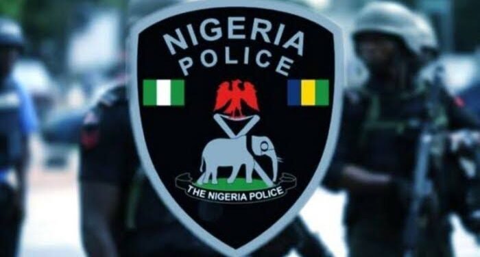 Gunmen Ambush Police Team in Delta, Kill DPO