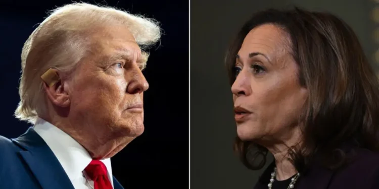 US Election: List of States Won by Trump, Kamala Harris