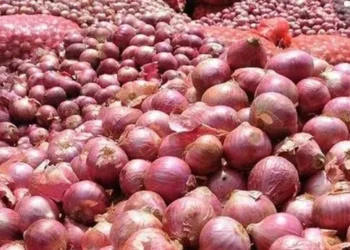 Onions