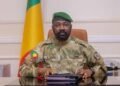 Mali PM Dismissed after Criticising Military Rule