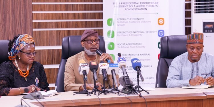 Nigerian Government Lifts Ban on Mineral Exploration in Zamfara State