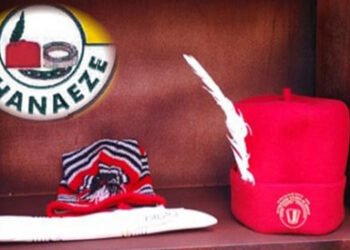 Ohanaeze Gets New President-General to Replace Late Iwuanyanwu