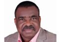 Tragic December: Why Can’t Palliatives Be Distributed the Dangote Way, Asks Magnus Onyibe