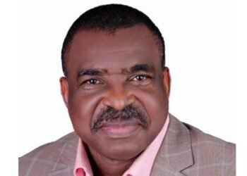 Tragic December: Why Can’t Palliatives Be Distributed the Dangote Way, Asks Magnus Onyibe