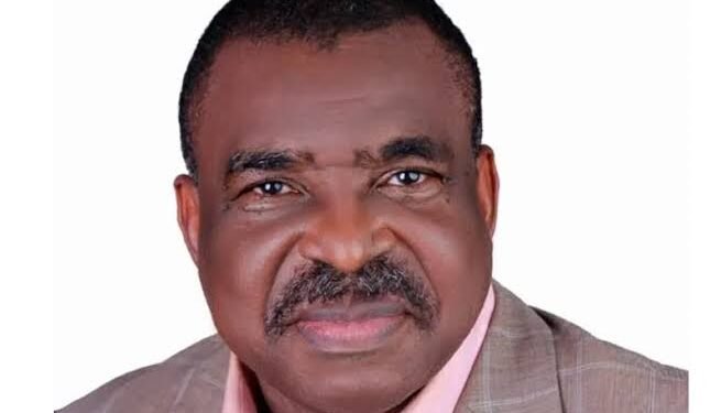 Tragic December: Why Can’t Palliatives Be Distributed the Dangote Way, Asks Magnus Onyibe