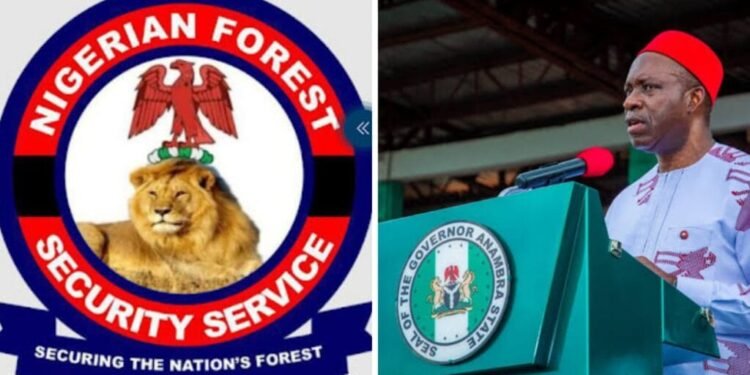 Insecurity: We’ll Rescue Anambra from Unknown Gunmen, Forest Guards Assure