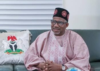 Tax Reforms: Bauchi Governor Denies Threatening President Tinubu