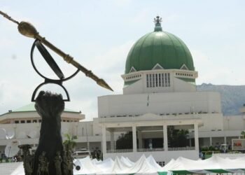 Nigeria Fooling Itself over Border Closure, Says  NASS