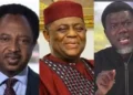 Shehu Sani, Reno Omokri, Femi Fani-Kayode Others Reportedly Make Ambassadorial List