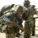 Nigerian Air Force Kills Scores of Boko Haram Insurgents in Borno, Ejodame Says