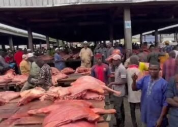 Lagos Reopens Oko-Oba Abattoir after Sanitation Compliance