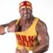 Hulk Hogan