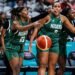 Nigeria’s D’Tigress