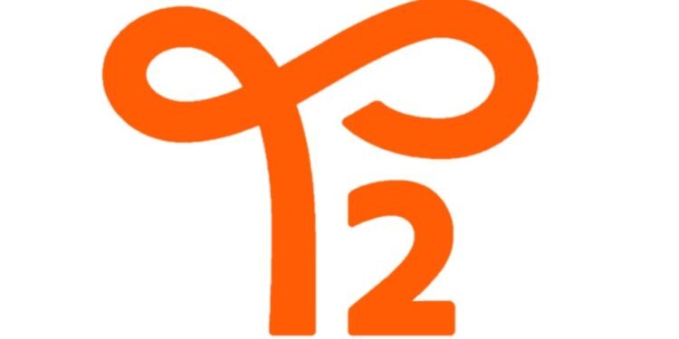 T2