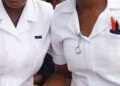 Nurse
