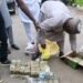 Security Officers Nab Suspected Vote Buyer with N25.9m Cash in Kaduna