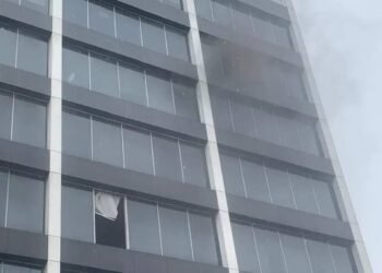 Elumelu Mourns Afriland Towers Fire Victims