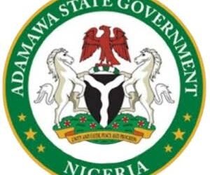 Adamawa Govt Demolishes 2,000 Illegal Shops in Yola