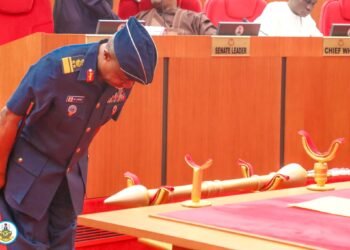 INSIGHT BY GEN SK USMAN: Military Courtesy and Civil Authority — rethinking salutes, bows in Nigeria’s parliamentary screenings