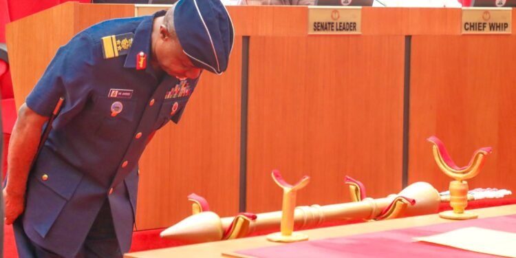 INSIGHT BY GEN SK USMAN: Military Courtesy and Civil Authority — rethinking salutes, bows in Nigeria’s parliamentary screenings