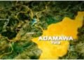 Adamawa Bans Posters, Banners on Public Structures