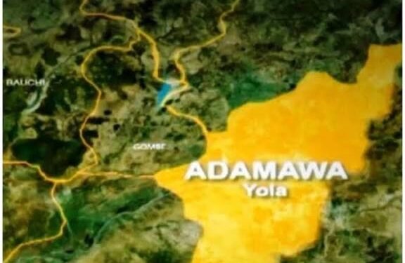 Adamawa Bans Posters, Banners on Public Structures