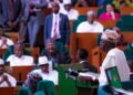 Dissecting Tinubu’s Budget Speech – – discipline as doctrine, boldness as signal, security as core, By Sunday Dare