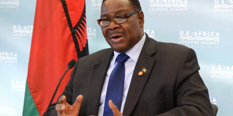 Malawi Bans Doctors, Pharmacists in Govt Hospitals from Owning Private Clinics