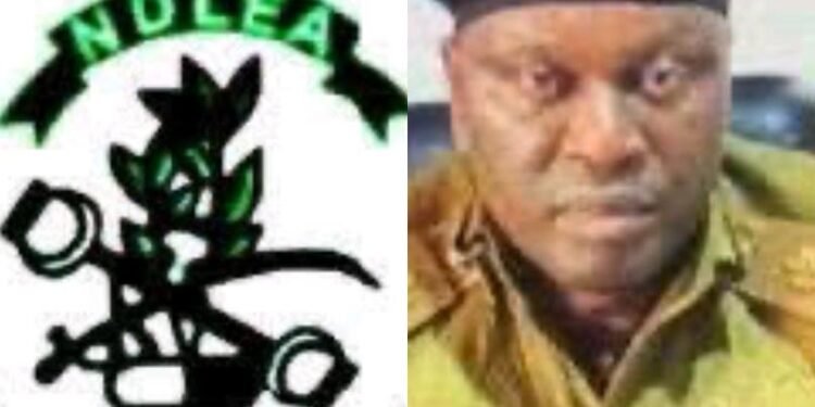 Courtroom Death: Group Demands Probe, Suspension of NDLEA Edo Commander