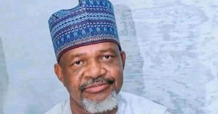Kebbi Assembly Speaker Dies in Egypt Hospital