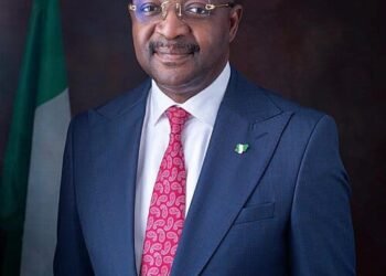 OPINION | WHAT’S THAT NOISE! Response to Hon.Ukeje and ADC Forum of National Legislators, By Sunday Dare