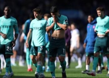 Wolves Relegated as Nightmare Season Ends Premier League Stay
