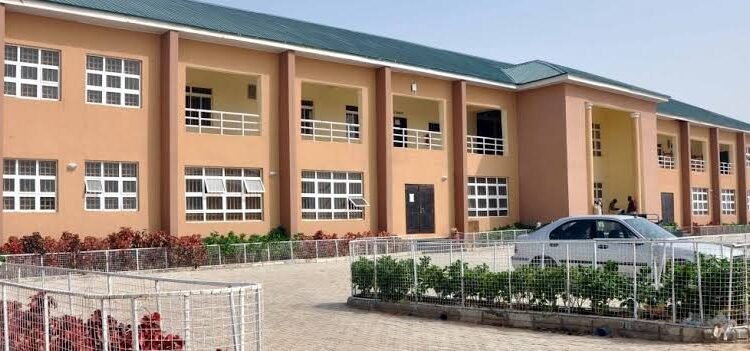 Graduate Says He Makes N300,000 Monthly from Barbing Business