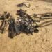 Nigerian Troops Decimate Terrorists in Crushing Air-land Onslaught in Borno
