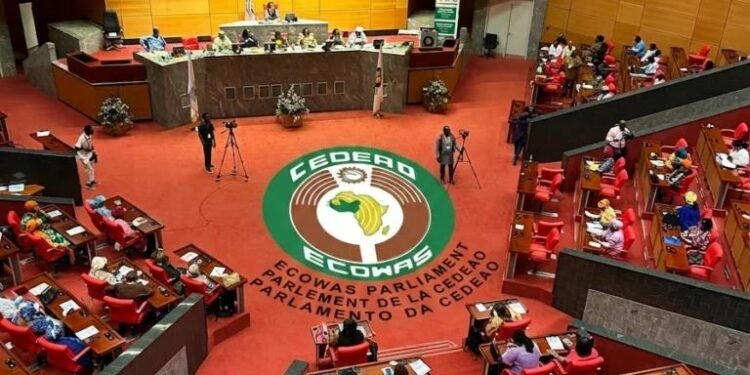Africa Loses $89Bn Annually to Illicit Financial Flows, Say Tax Experts