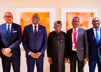 IFC Says Coming to Nigeria for ‘Scalable Investment in Livestock, Energy, Housing’