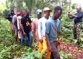 Edo: Troops of 4 Brigade Bust Kidnappers’ Hideouts in Owan, Esan Councils, Arrest 12 Suspects