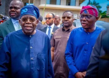 APC Primaries Reflect Internal Democracy, Grassroots Politics, Says Tinubu