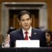 Rubio