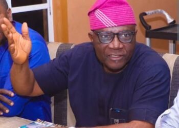 Clarification: On the Killing of ISWAP Commander Al-Manuki, By Bayo Onanuga