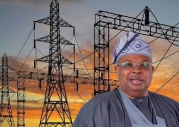 Power Minister-designate Denies Promising to Fix Nigeria’s Grid in 3 Months
